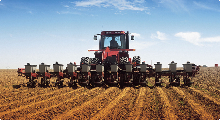 Название акции или спецпредложения